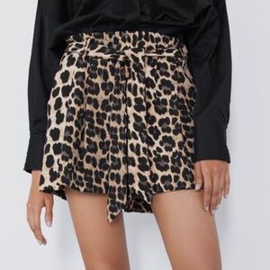 Zara leopard print high wasted shorts